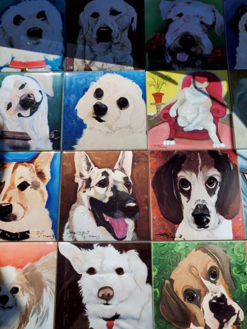 A collage of colorful dog portraits featuring various breeds and styles, showcasing their unique expressions.