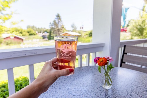 A hand holding a glass of rosé wine in front of a scenic vineyard view, with a small vase of flowers on the table.