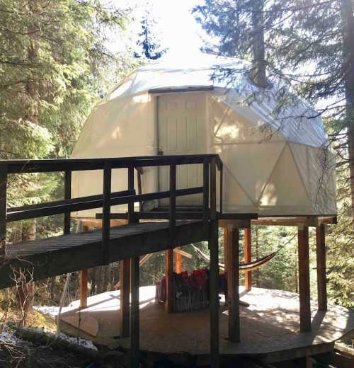 A geodesic dome cabin on a wooden platform, surrounded by trees in a forest setting.