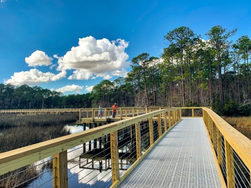 A wooden boardwalk winds through a marsh, surrounded by trees and blue skies with fluffy clouds.