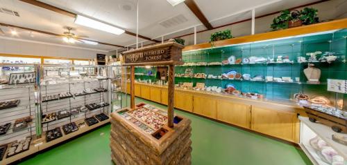 Interior of a jewelry store featuring display cases, a wooden sign, and various jewelry pieces on shelves.