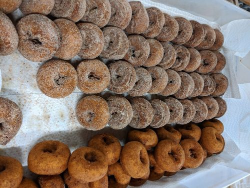 A tray of freshly made donuts, some coated in cinnamon sugar, arranged in neat rows.