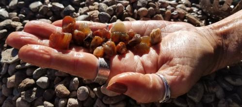 A hand holding several polished stones, resting on a bed of small pebbles. Sunlight highlights the stones' colors.