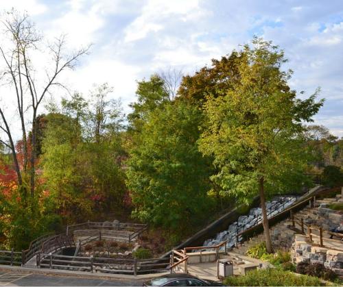 A scenic view of a park with trees, a stone pathway, and a small waterfall under a partly cloudy sky.
