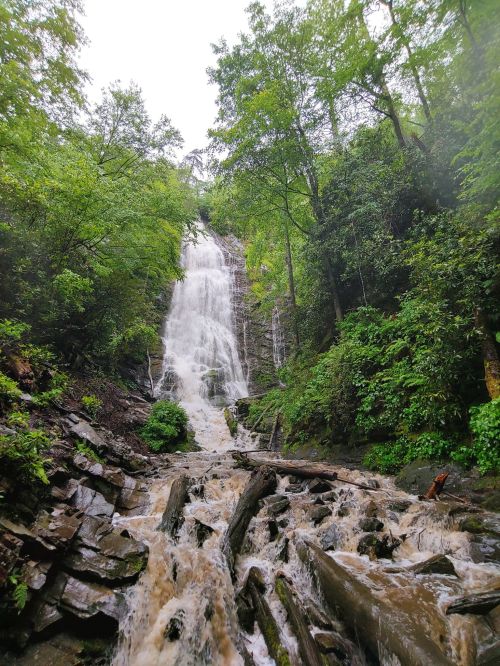 A cascading waterfall surrounded by lush greenery and rocky terrain, with water flowing over logs and stones.