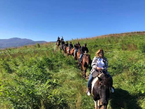 A group of people riding horses along a grassy trail with mountains in the background under a clear blue sky.