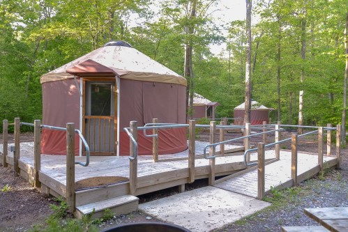 Two yurts surrounded by trees, with wooden ramps leading to their entrances in a serene outdoor setting.