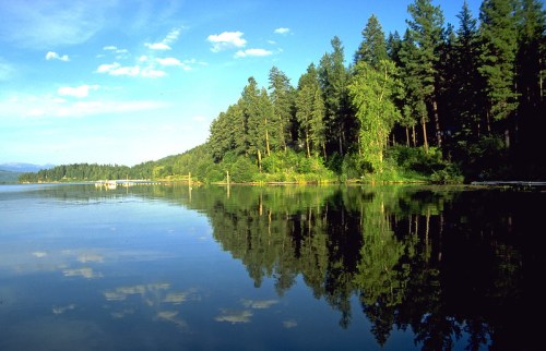 A serene lake surrounded by lush green trees, reflecting the sky and forest in calm waters.