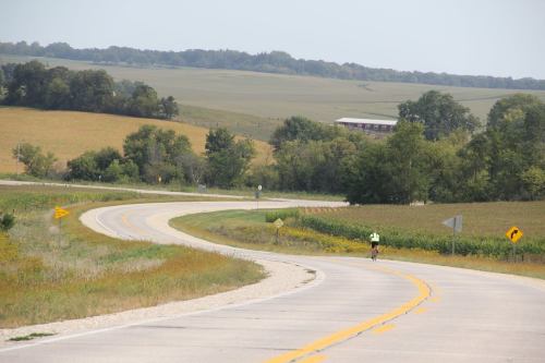 A cyclist rides along a winding road surrounded by green fields and trees under a clear blue sky.