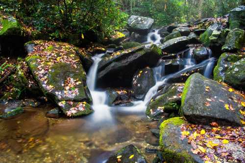 A serene waterfall cascades over moss-covered rocks, surrounded by lush greenery and autumn leaves.