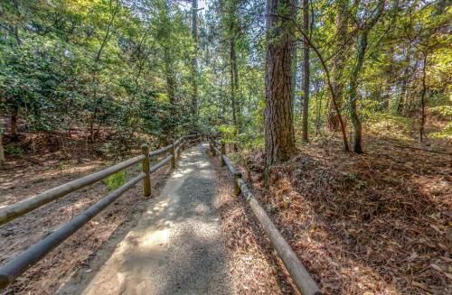 A winding dirt path through a lush forest, bordered by wooden railings and dappled sunlight filtering through the trees.