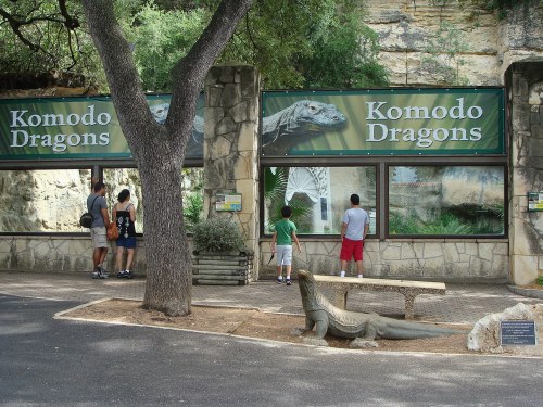 Visitors observe Komodo dragons behind glass enclosures at a zoo, with a large lizard statue in the foreground.
