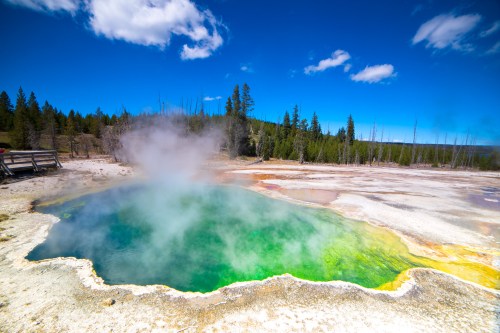 A vibrant geothermal pool with steam rising, surrounded by trees and a clear blue sky in Yellowstone National Park.