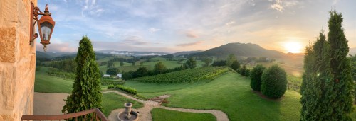 A panoramic view of rolling hills and vineyards at sunrise, with lush greenery and a lantern in the foreground.