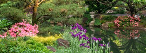 A serene garden scene with colorful flowers and a tranquil pond reflecting the surrounding greenery.