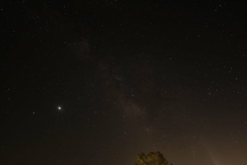 A starry night sky with a visible Milky Way and a bright planet on the left, silhouetted by a tree at the bottom.