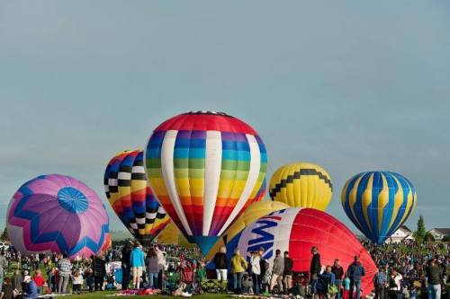 A vibrant scene of colorful hot air balloons above a crowd at a festival, set against a clear sky.