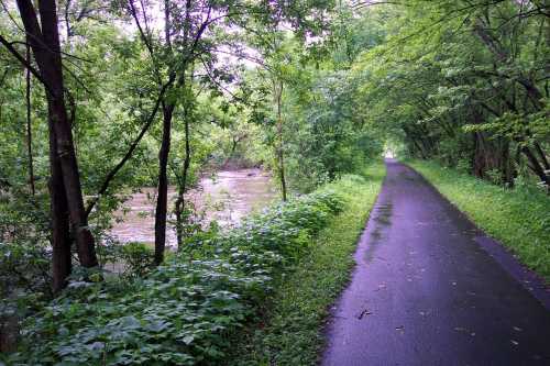 A serene path lined with trees beside a river, surrounded by lush greenery after rain.