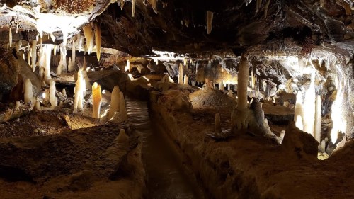 A dimly lit cave with stalactites and stalagmites, illuminated by soft lights reflecting off the rocky surfaces.