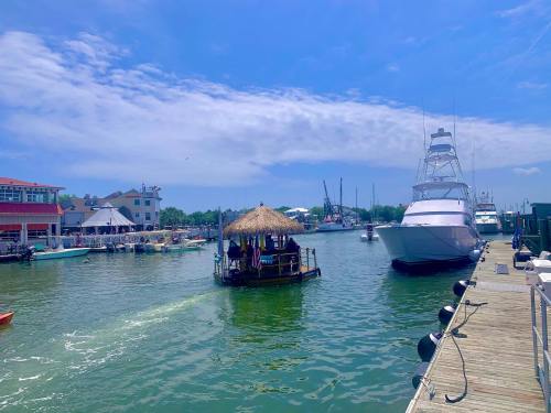 A sunny marina scene with a tiki boat and a large yacht, surrounded by buildings and boats on calm water.