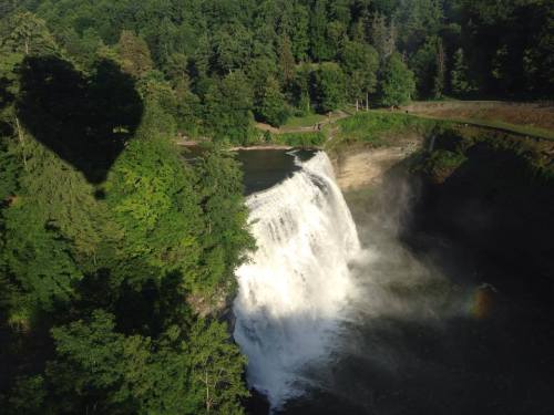 A waterfall cascades down surrounded by lush green trees, with a shadow of a heart visible in the foreground.