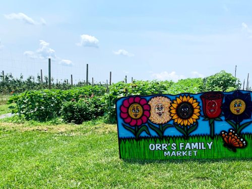 Colorful sign for Orr's Family Market in front of a lush garden with flowers and vegetables under a blue sky.