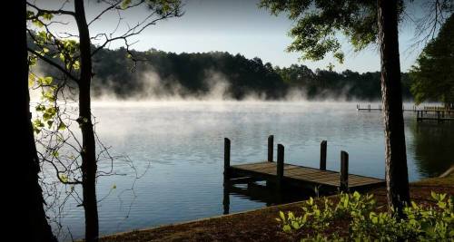 A serene lake at dawn, with mist rising over the water and a wooden dock surrounded by trees.