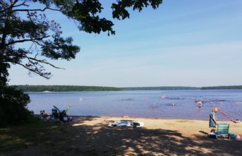 A sandy beach by a calm lake, with people swimming and relaxing under a clear blue sky. Trees frame the scene.