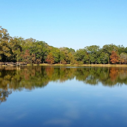 A serene lake surrounded by trees, reflecting the colorful foliage and clear blue sky.
