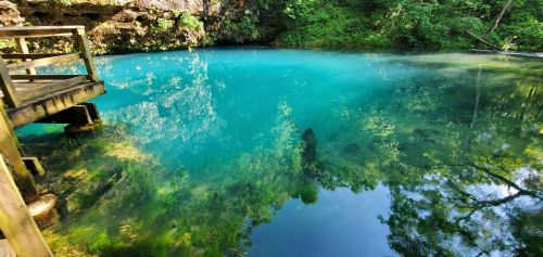 A serene blue pond surrounded by lush greenery and a wooden platform at the edge.