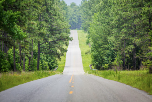 A winding road stretches through a lush green landscape, flanked by tall trees under a clear blue sky.