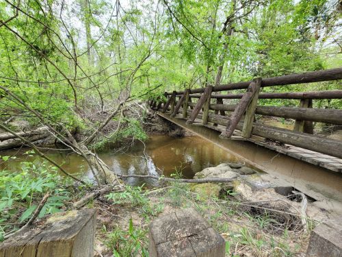 A wooden bridge spans a calm stream, surrounded by lush greenery and trees in a serene natural setting.