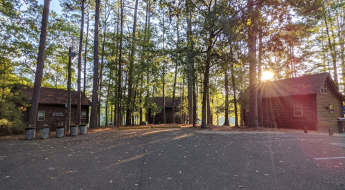 Two rustic cabins surrounded by tall trees, with sunlight filtering through the leaves and a clear sky in the background.