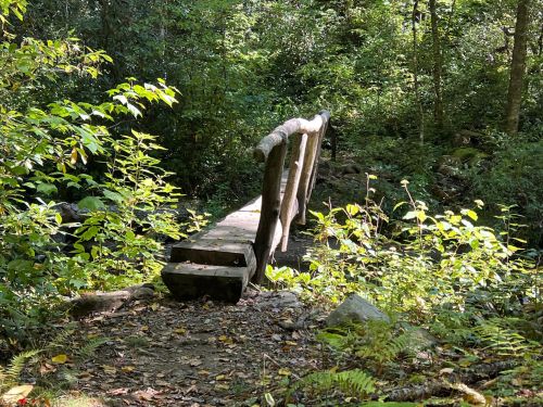 A wooden bridge over a small stream, surrounded by lush greenery and trees in a peaceful forest setting.
