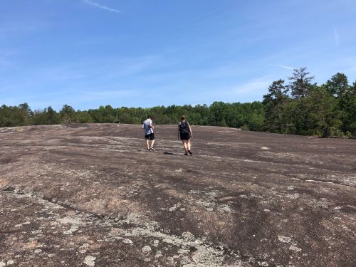 Two people walking on a rocky surface with trees in the background under a clear blue sky.