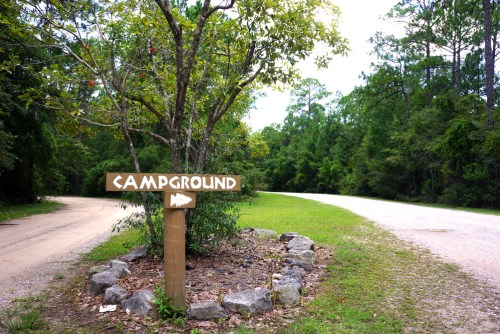 A wooden sign pointing to a campground, surrounded by trees and grassy areas, with a fork in the road ahead.