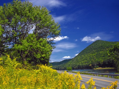 A scenic view of a road beside a river, with lush green trees and vibrant yellow flowers under a blue sky.
