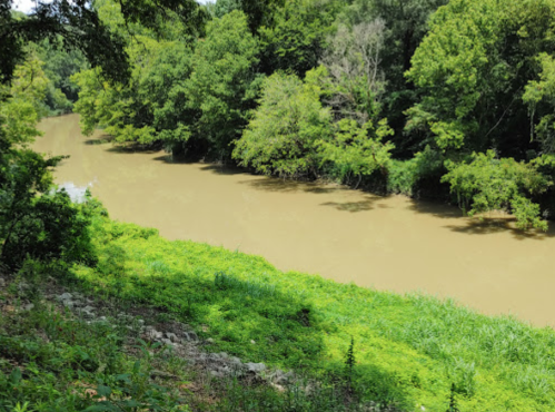 A muddy river flows through a lush green landscape, surrounded by trees and dense vegetation.
