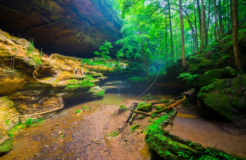 Lush green forest surrounds a serene cave with a small stream and rocky terrain, illuminated by soft natural light.