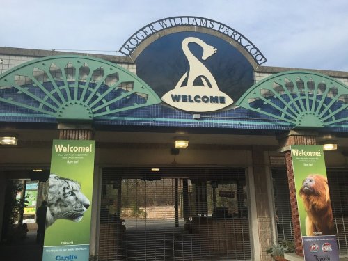 Entrance to Roger Williams Park Zoo featuring a welcome sign and banners with images of a lion and a bear.