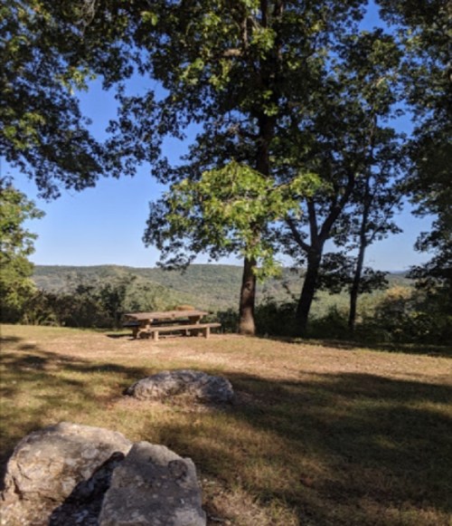 A serene outdoor scene with trees, a picnic table, and a view of rolling hills under a clear blue sky.