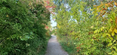A winding gravel path surrounded by lush greenery and colorful foliage on either side.