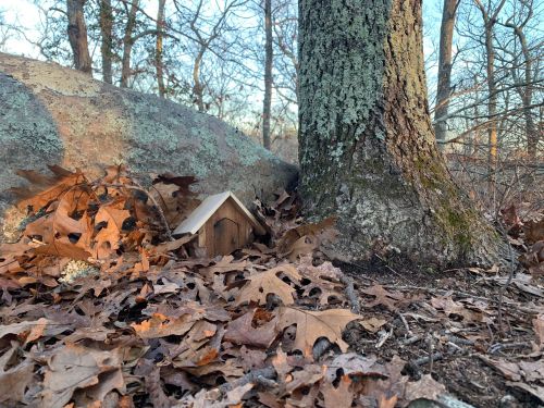 A small wooden house nestled among fallen leaves at the base of a tree in a wooded area.