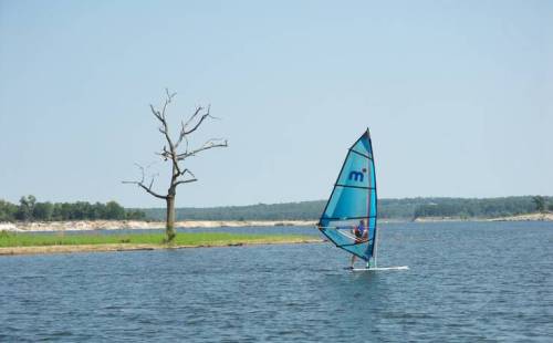 A windsurfer glides across a calm lake, with a bare tree standing on the shore under a clear blue sky.