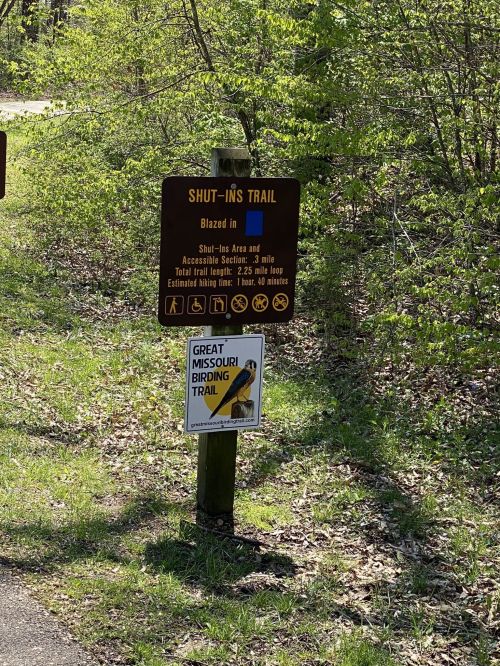 Signage for Shut-Ins Trail and Great Missouri Birding Trail in a wooded area, indicating trail access and features.