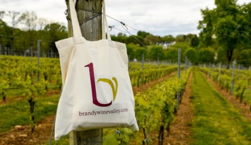 A tote bag hangs on a post in a vineyard, with rows of grapevines stretching into the distance under a cloudy sky.