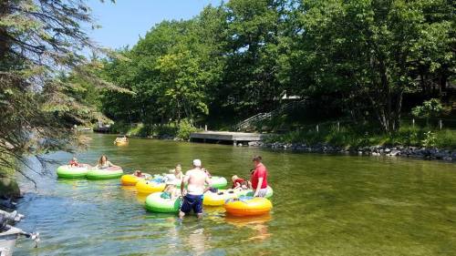 A group of people enjoying a sunny day on colorful inner tubes in a clear, calm river surrounded by trees.