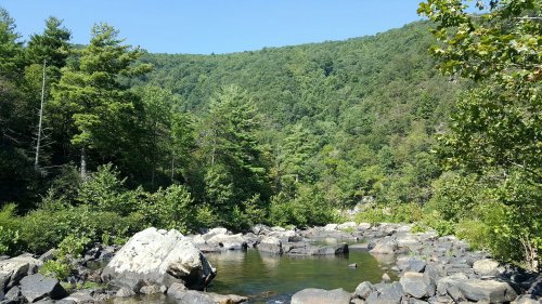 A serene landscape featuring a calm stream surrounded by lush green trees and rocky terrain under a clear blue sky.