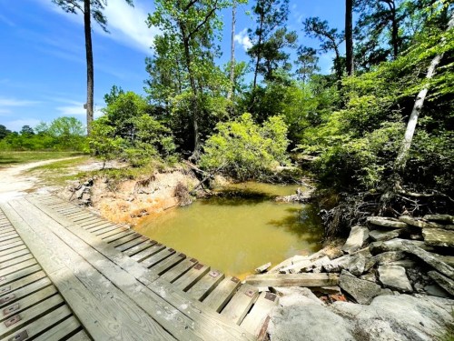 A serene natural scene featuring a small pond surrounded by greenery and trees, with a wooden bridge in the foreground.
