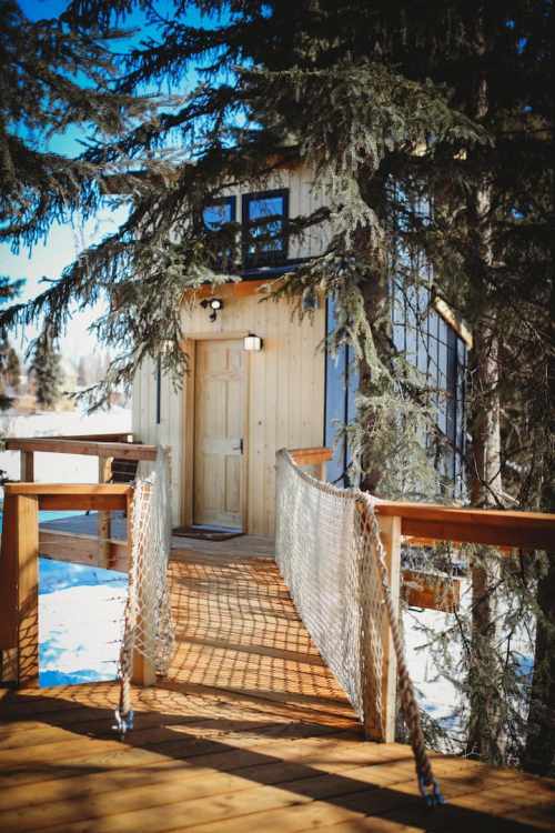 A wooden bridge leads to a cozy cabin surrounded by tall trees and snow, under a clear blue sky.